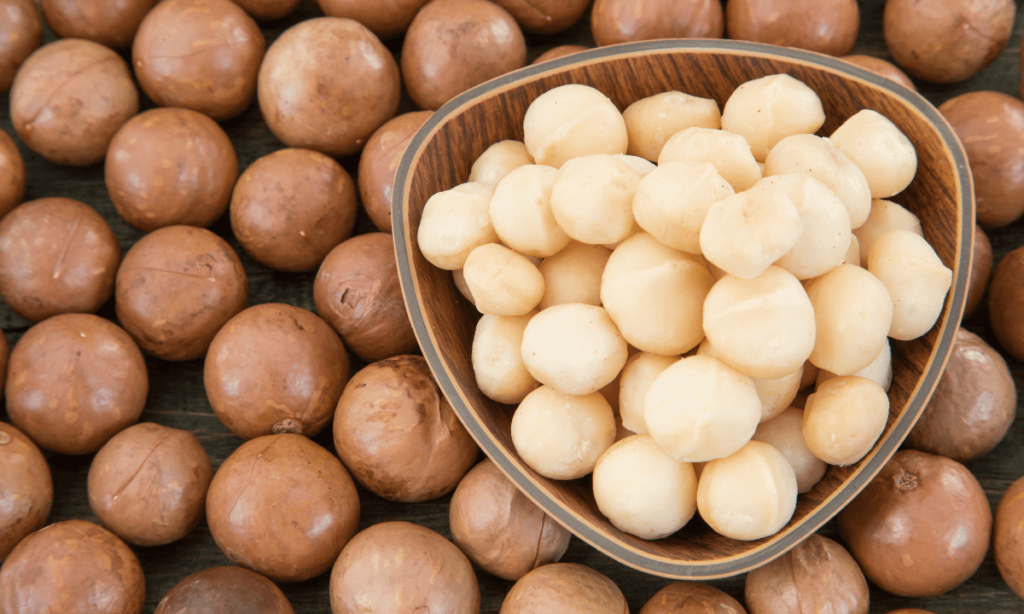 Macadamia Nuts